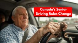 New Canada Driving Rule Change for Seniors Begins from 5 February 2026 – Updated Requirements Explained