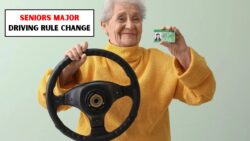 Canadian Seniors Face Major Driving Rule Change in February 2026: License Renewals Testing and Compliance Explained