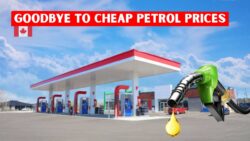 Goodbye to Cheap Fuel: Petrol Prices Forecast to Climb by $0.25 Per Litre From 1st February 2026