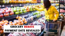 $628 Grocery Rebate Payment Date & Eligibility Criteria in February 2026 – Check Qualification Status Today