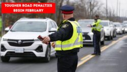 Goodbye to Old Driving Rules: Tougher Road Penalties Up to $2,000 Start 5 February 2026