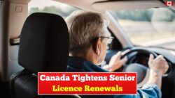 Canada Tightens License Renewal Rules in 2026 Impacting Drivers Over 70 Nationwide