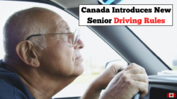 New Canada Driving Rules for Seniors Begin 10 February 2026 With Updated Medical and Renewal Requirements